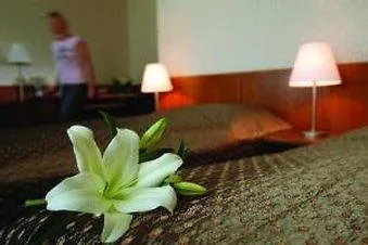 Hotel Rzymski 포즈난 3*,