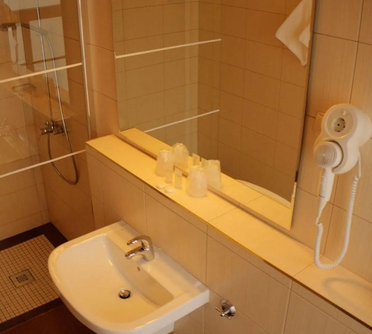 Hotel Rzymski 포즈난